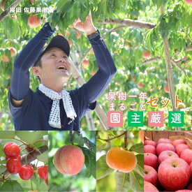【ふるさと納税】No.2223桜田/佐藤果樹園　果樹まるごと一年おまかせセット【2026年発送 先行予約】