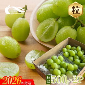 【ふるさと納税】No.2329シャインマスカット粒詰2パック入　約1kg【2026年発送】