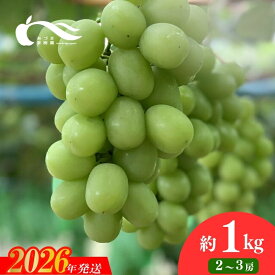 【ふるさと納税】あづま果樹園 ぶどう シャインマスカット 選べる 容量 約1kg 約2kg 【2026年発送】福島 福島市