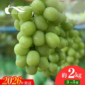 【ふるさと納税】あづま果樹園 ぶどう シャインマスカット 選べる 容量 約1kg 約2kg 【2026年発送】福島 福島市