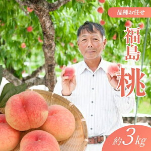 yӂ邳Ɣ[Łz  2kg 3kgy2026N s\z