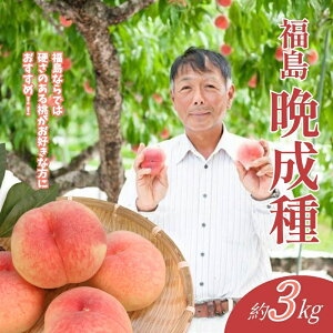 yӂ邳Ɣ[Łz @Ӑ 2kg 3kgy2026N s\z