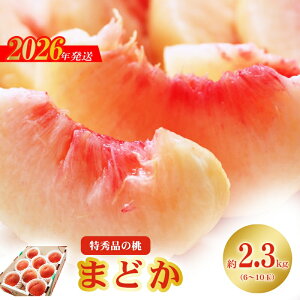 yӂ邳Ɣ[ŁzNo.2424u܂ǂvGi2.3kgy2026Nz