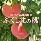 No.2436 8月発送の桃 品種おまかせ 約1kg【2024年発送】先行予約 1万円以下 もも モモ フルーツ くだもの 果物 旬 期間 限定 福島市 特秀 人気 返礼品 お取り寄せ 福島県産 菅野房吉商店