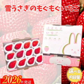 【ふるさと納税】福島市産いちご【大粒完熟とちおとめ 】雪うさぎのもぐもぐいちご 1箱12個入り（約400g）2箱(約800g)【2026年1月下旬より発送】