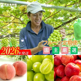 【ふるさと納税】No.2495 伊藤果樹園のフルーツ3種定期便【2026年発送　先行予約】