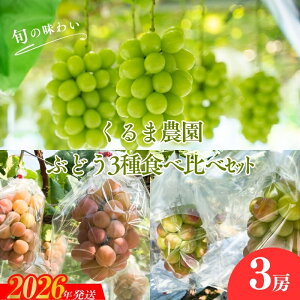 yӂ邳Ɣ[ŁzNo.2504ܔ_@VC}XJbgƂԂǂ2iS3[jy2026N@s\z