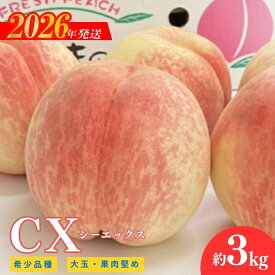 【ふるさと納税】No.2580希少品種CX/シ−エックス 約3kg【2026年発送　先行予約】