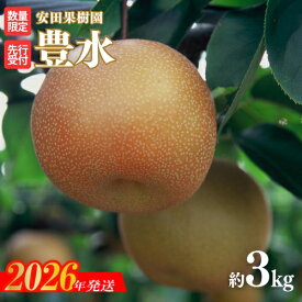 【ふるさと納税】No.2608梨　豊水　約3kg【2026年発送 先行予約】