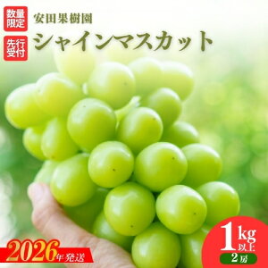 【ふるさと納税】No.2609ぶどう シャインマスカット1kg以上【2026年発送 先行予約】