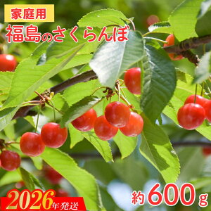 yӂ邳Ɣ[ŁzNo.2635yƒpz i킨C @600gi200g×3pbNjy2026N s\z