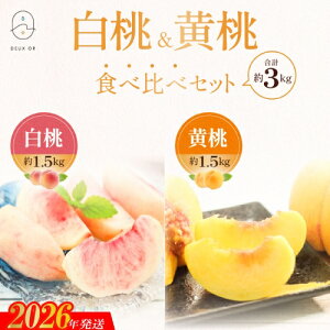 【ふるさと納税】No.2672白桃&黄桃食べ比べセット 約3kg【2026年発送 先行予約】