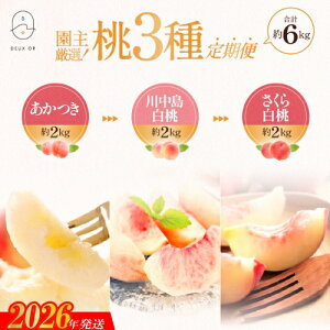 【ふるさと納税】No.2674園主厳選!もも3種定期便 各約2kg【2026年発送 先行予約】