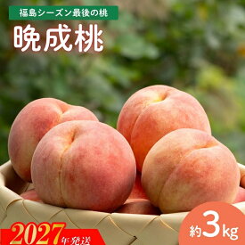 【ふるさと納税】福島 シーズン最後の桃『晩成桃』約3kg【2027年発送】No.2689 福島県 福島市 福島 桃 白桃 幸茜 さくら白桃 晩生 白桃 2万円以下