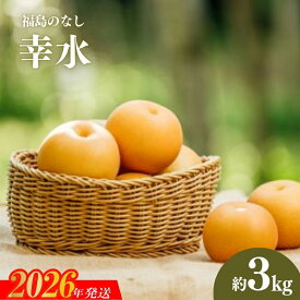 【ふるさと納税】No.2780旬の特選梨 幸水3kg【2026年発送　先行予約】