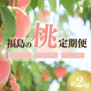 yӂ邳Ɣ[Łz/ʎ ̓3 e1.5kg e2kgy2026N s\z