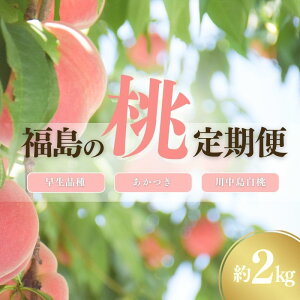 yӂ邳Ɣ[Łz/ʎ ̓3 e1.5kg e2kg  ͂Ђ 씒P  쒆 y2026N s\z