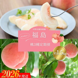 yӂ邳Ɣ[ŁzNo.2968/ʎ ̓3 e1.5kg  쒆 甒y2026N s\z