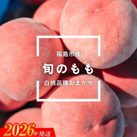 【ふるさと納税】No.2997 福島県福島市産 旬のもも(白桃・品種おまかせ) 約1kg(3～6玉)【2026年発送 先行予約】
