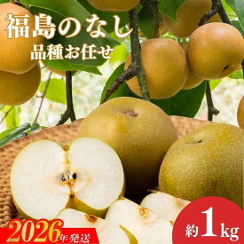 【ふるさと納税】No.3018 福島のなし 品種お任せ 約1kg【2026年発送】円和 青果部 フルーツ 果物 お取り寄せ おとりよせ 福島 ふくしま 福島市 和梨 赤梨