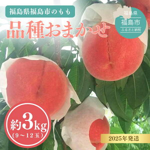 yӂ邳Ɣ[Łz̓ i킨܂ Ƃ__ Iׂe 1kg 2kg 3kgy2025Nz