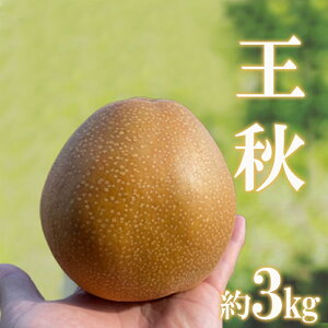yӂ邳Ɣ[ŁzNo.2735{̓I H 3kgy2025N@s\z
