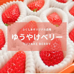 yӂ邳Ɣ[ŁzsY @䂤₯x[ 112i400gjy2026N1{蔭z Iׂ e  2 24 800g