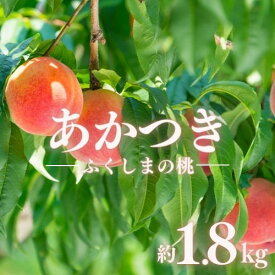 【ふるさと納税】古井果樹園 もも「あかつき」約1.8kg 約3kg【2026年発送　先行予約】