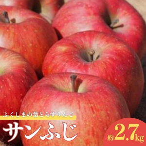 yӂ邳Ɣ[ŁzNo.1924 ӂ܂̗t炸Tӂ@p@2.7kgy2025Nxz
