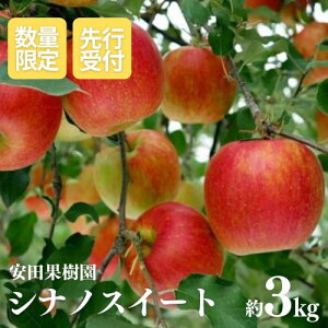 yӂ邳Ɣ[ŁzNo.2605 񂲁@VimXC[g@3kgy2025Nxz