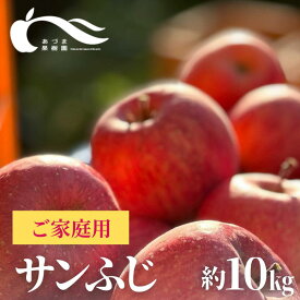 【ふるさと納税】No.0154あづま果樹園 りんご「サンふじ」家庭用約10kg【2024年度発送】