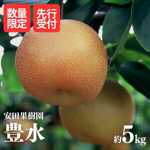 yӂ邳Ɣ[ŁzNo.1799@L@5kgy2026N s\z