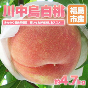 yӂ邳Ɣ[Łzu쒆vp@1.7kg 2.7kg 4.7kgy2026N@s\z