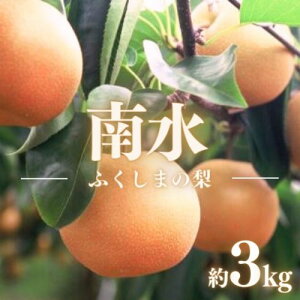 yӂ邳Ɣ[ŁzNo.1724@Ȃ@쐅 3kg@y2025Nz