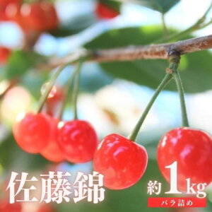 yӂ邳Ɣ[Łzځuсv500g 1kgiol߁jy2026N@s\z