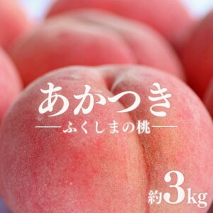 yӂ邳Ɣ[Łzuv2kg 3kg y2026N s\z