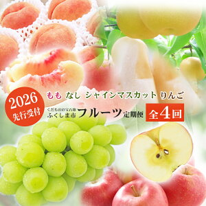 yӂ邳Ɣ[ŁzNo.2769̃t[c4y2026Nzs\    Ȃ iV  Ԃǂ uhE VC}XJbg ь S Tӂ s Y ԗi 