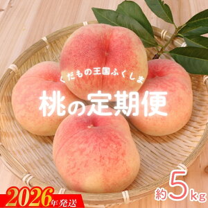 yӂ邳Ɣ[ŁzNo.2027y2026N s\ẑ 5kg 3