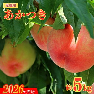 yӂ邳Ɣ[ŁzNo.2155̂@ƒp@5kgy2026N s\z