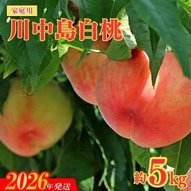 【ふるさと納税】No.2156福島のもも　家庭用川中島白桃　約5kg【2026年発送 先行予約】