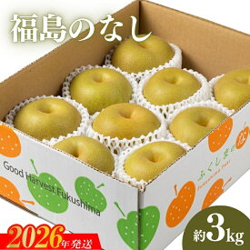 【ふるさと納税】No.2042 【2026年発送 先行予約】福島のなし　約3kg（幸水または豊水）