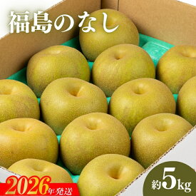 【ふるさと納税】No.2043 【2026年発送 先行予約】福島のなし　約5kg（幸水または豊水）