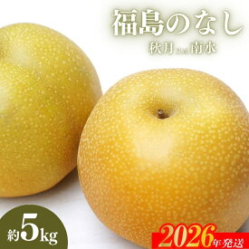 【ふるさと納税】No.2186福島のなし　秋月または南水　約5kg【2026年発送 先行予約】