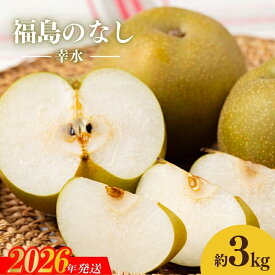 【ふるさと納税】No.1713梨　なし　幸水　約3kg　【2026年発送】