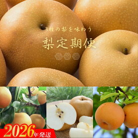 【ふるさと納税】No.2535梨の3品種定期便【2026年発送】