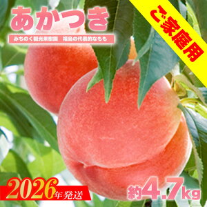 yӂ邳Ɣ[Łz uv ƒp@4.7kg 2.7kg y2026N@s\z