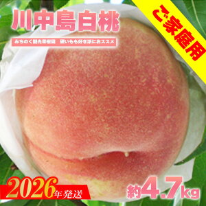 yӂ邳Ɣ[Łzu쒆vƒp@4.7kg 2.7kgy2026N@s\z