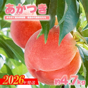 yӂ邳Ɣ[Łzuvp@1.7kg 2.7kg 4.7kgy2026N@s\z