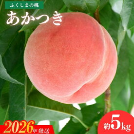 【ふるさと納税】果樹園きつない 福島のもも「あかつき」約2kg 約3kg 約5kg【2026年発送 先行予約】