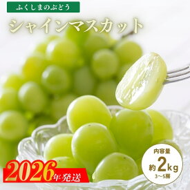 【ふるさと納税】No.2506くるま農園　シャインマスカット　約2kg(3〜5房)【2026年発送　先行予約】 フルーツ 果物 くだもの デザート 旬 白ブドウ 白ぶどう 白葡萄 ブドウ 葡萄 福島市 福島県産 返礼品 お取り寄せ